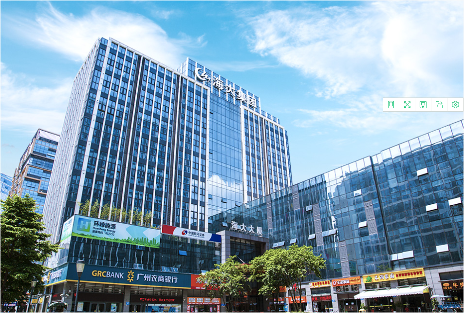 廣東海大集團股份有限公司使用案例